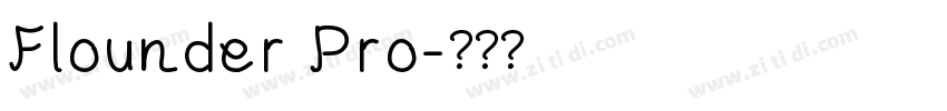 Flounder Pro字体转换